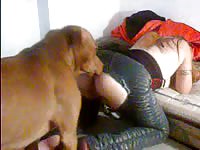 200px x 150px - This curvy slut knows how to get her dog to mount and fuck her like an  expert - Zoo Porn Dog Sex, Zoophilia