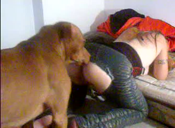 Dripping cum from MILFs pussy as dog knots in her cunt. 