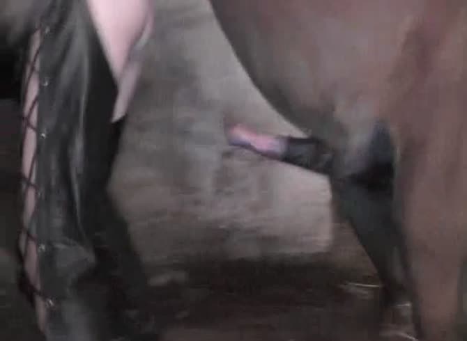 670px x 490px - Girl in leather chaps getting epic creampie from well hung horse - Zoo Porn  Horse Sex, Zoophilia