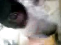 Amateur girl fucks herself with a banana while her dog licks her clit