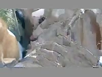 Granny spreads her lips so her dog can lick out her wet hole