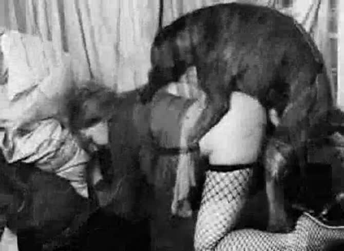 Vintage Beastiality