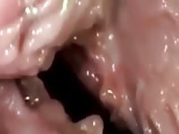 Sexually aroused guy adores masturbating his big dick