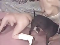 Pair of never seen before MILFs take turns pleasing a huge dog in this bestiality xxx footage