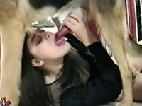 Dark-haired skanky teen hottie in her first xxx animal porn movie blowing an endowed horse