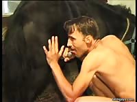 Naked dude jerking off and sucking this giant horse dick desperate for cum