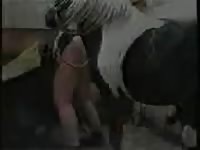 Girl grunts and screams as this well hung horse pumps her pussy hard