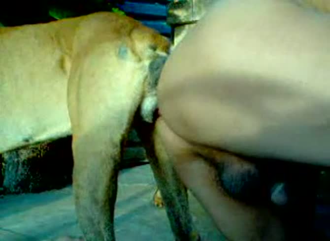 Lovely Polish female is having intercourse with her brown dog - Zoo Porn Dog Sex, Zoophilia  