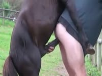 Free Porn Video - Zoo Porn Horse Sex - ApornTV