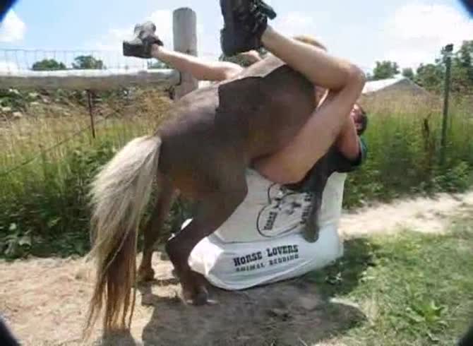 Man Takes Horse Cock