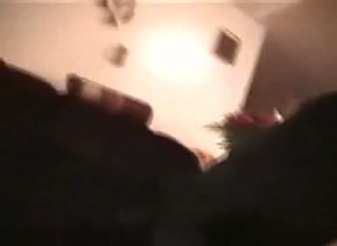 Animal sex caught on camera - Zoo Porn Dog Sex, Zoophilia