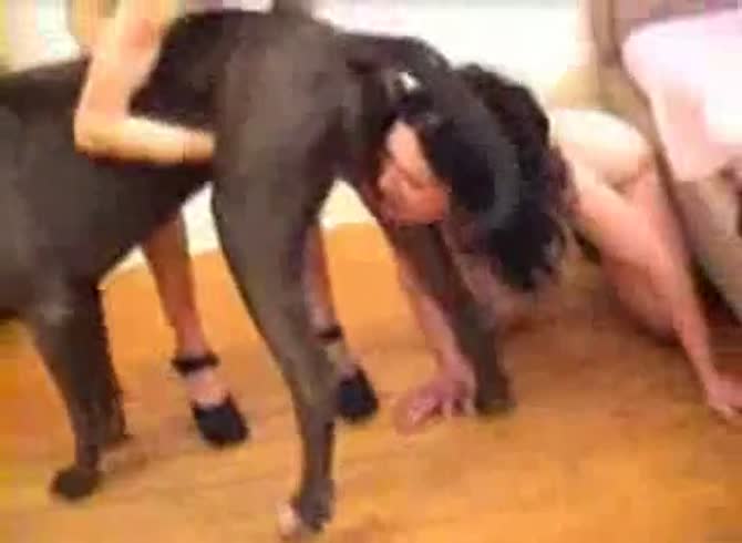 Girl suck dog 7 zoo porn sex with dog dog and girl xxx animal sex - Zoo Porn  Dog Sex, Zoophilia