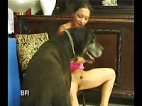 Girl with huge black dog zooporn dog porn beastiality dog fucks girl
