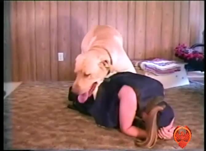Www Sex Dog Golis - Lessie the golden dog - Zoo Porn Dog Sex, Zoophilia