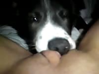Lilp and her lil pup porno zoo animal sex sex zoo