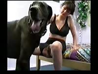 My dog sex with dog beastiality porn zoosex