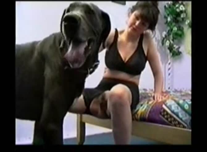 Dog Syxse Vedyo - My dog sex with dog beastiality porn zoosex - Zoo Porn Dog Sex, Zoophilia