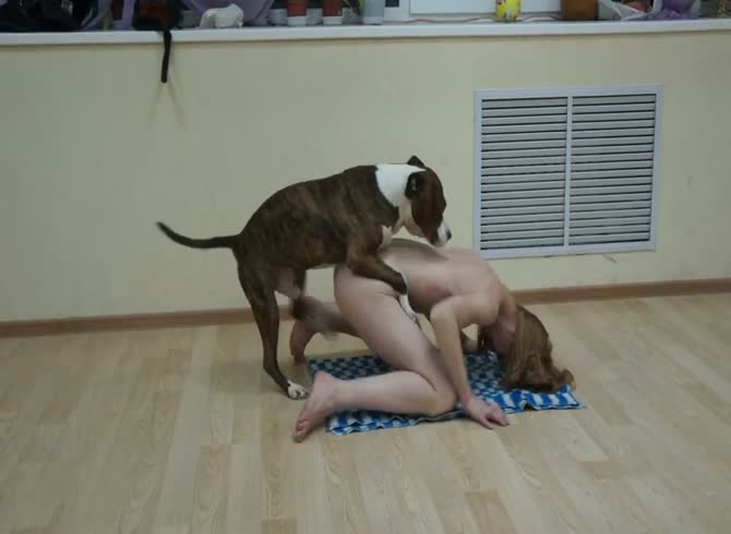 670px x 490px - Nadya and jack from teamrussia zoo zoo porn girl fucks dog zooporn - Zoo  Porn Dog Sex, Zoophilia