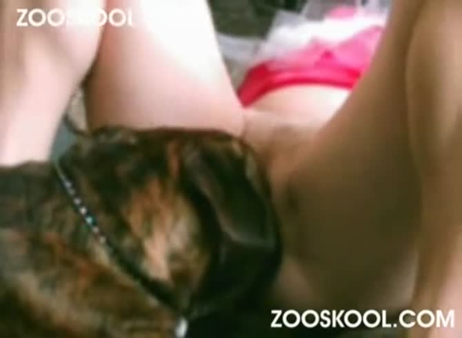 Zoo Dog Fuck Girl - Various girls with their dogs dog fuck girl porn animal zoo ...