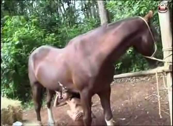 Horse and girl sex