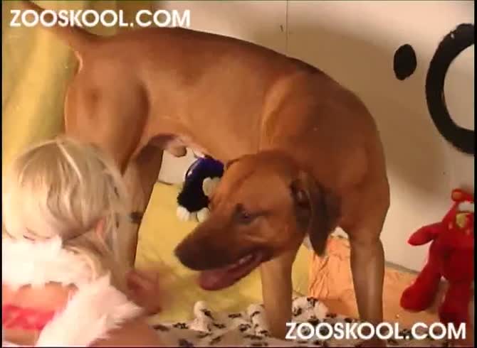 Sexxxxdogs - Zooskool summer a bit surreal zoo porn dog sex xxx dog dog fucks girl - Zoo  Porn Dog Sex, Zoophilia