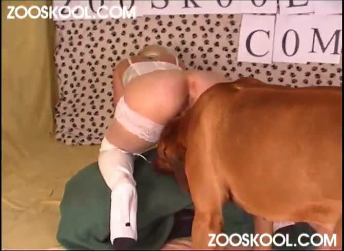 Zooskool Sex Hd Com - Zooskool summer cant get enough zooporn dog sex dog and girl xxx animals  porn - Zoo Porn Dog Sex, Zoophilia