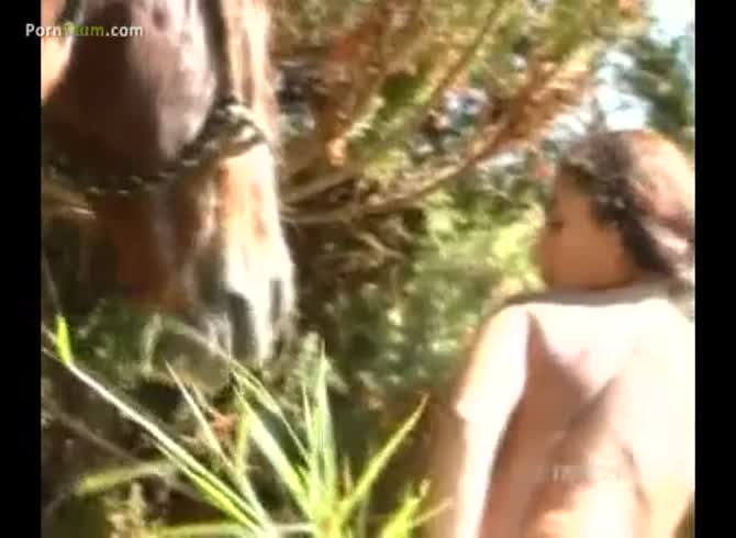 Brunette full penetration with large horse - Zoo Porn Dog Sex, Zoophilia