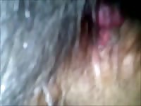 Dog fucking porno dog porn with dog animal porn animal sex dogsex dog cum