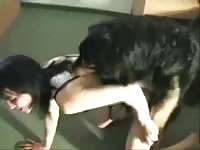 Dog sex compilation 2 zoo porn girl fucks dog beastiality zoosex