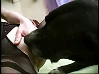 El perro follador dog fuck girl zoo sex video animal porn
