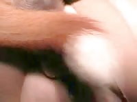 Mature slut has dog sex