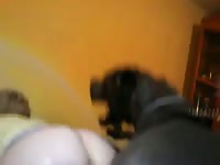 Beastforum amateur couple