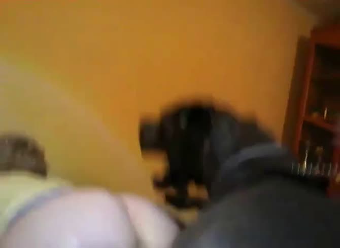 Beastforum amateur couple Zoo Porn Dog Sex 