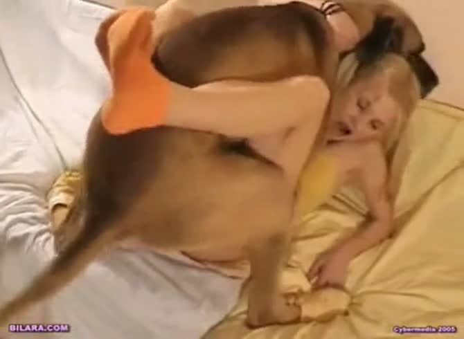 Girl gets fucked so good by dog Blonde With Twintails Fucked Hard By Dog On The Couch On Dog Porn Video Zoo Porn Dog Sex