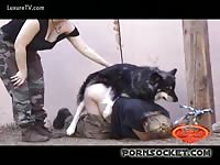 Blonde tied up and forced to fuck dog