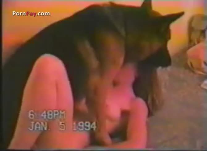 Guy Licking Pussy German Shepherd - Buffy and german shepherd good qualtity - Zoo Porn Dog Sex