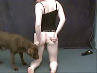 Caledonian nv aurora bliss and choco2