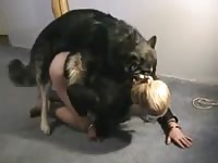 Dog hops on owner to have dog sex