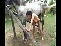 Only horses for my pussy and mouth - girl Sucks Horse