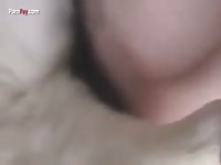 GayBeast.com Men And Animals Husky Girl - Dude Fucks Animal