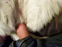 Gay Beast Com Men And Animals Husky3 - Zoophilia Porn Video With Boy - Extrem Sex and Taboo Porn. 