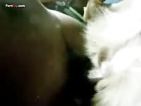 GayBeast Rip Men And Animals Loving3 - Beastiality Boy