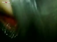 GayBeast Rip Men And Animals Wet Mare - Animal Sex Tube With Men