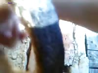 GayBeast.com Perritaa