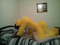 Getting My Ass Filled By The Yellow Fox Gay Beast Com - Man Fucks Pet