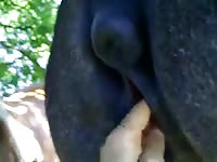 Gluckliche Aufnahme Entjungferung M Einer Stute GayBeast Rip - Man Fucks Pet