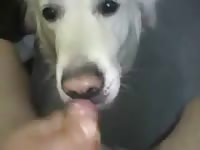 Good Bitch