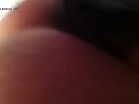 Good Lick GayBeast - Bestiality Men