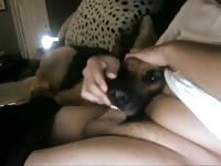 Gsd Gives Blowjob And Gets Fucked GayBeast.com - boy Fucks Pet