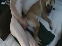 Man Gets Fucked By Dog